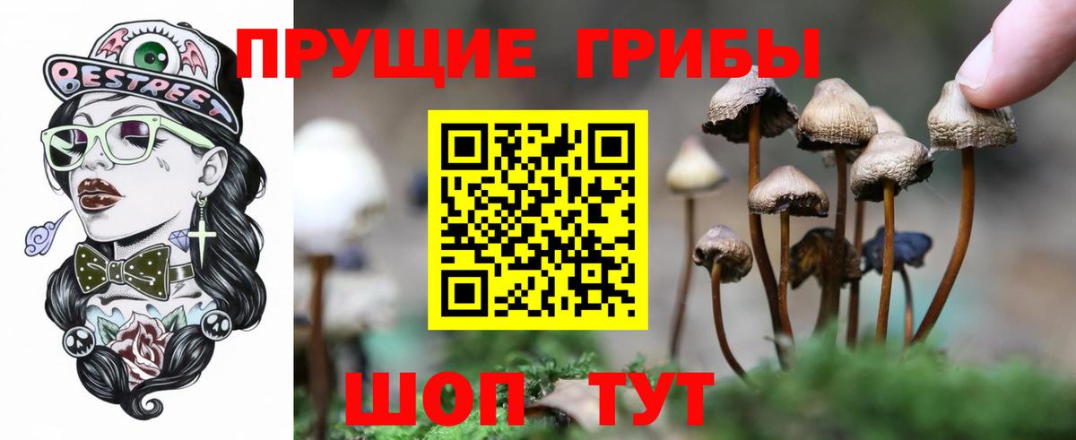 Галлюциногенные грибы мицелий Ессентуки