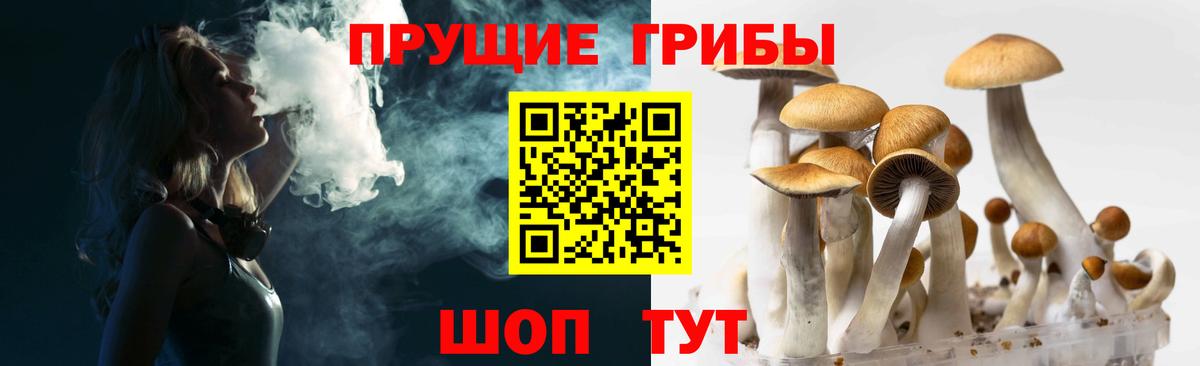 Галлюциногенные грибы MAGIC MUSHROOMS  Вход с VPN  Псилоцибиновые грибы Psilocybine cubensis  Ессентуки 